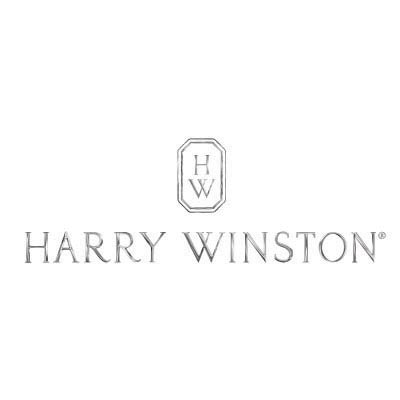 Custom harry winston logo iron on transfers (Decal Sticker) No.100466